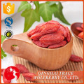 Wholesale high quality dried medlar supplier